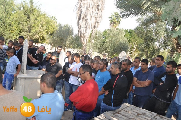 Janza yosef 3obra (16).JPG